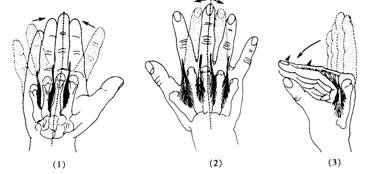 疾病大全 > 手外伤  (1)指深屈肌腱检查法  (2)指浅屈肌腱检查法 (3)